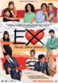 Ex, amici come prima (2011)